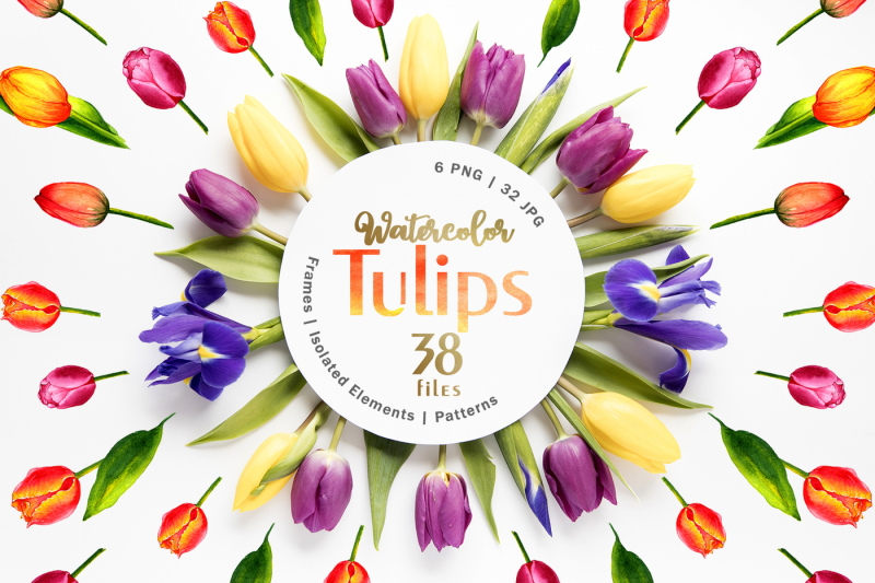 tulips-watercolor-red-png