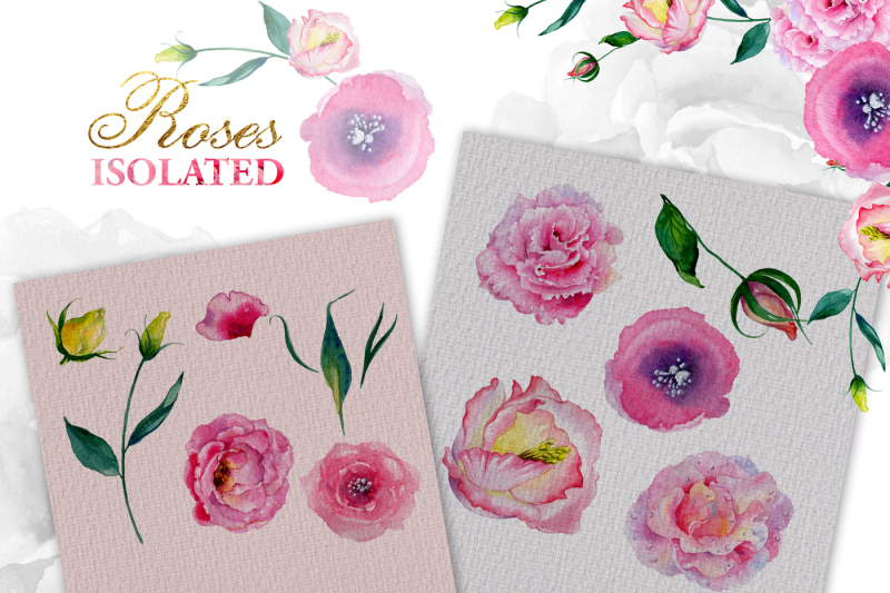 pink-roses-watercolor-png