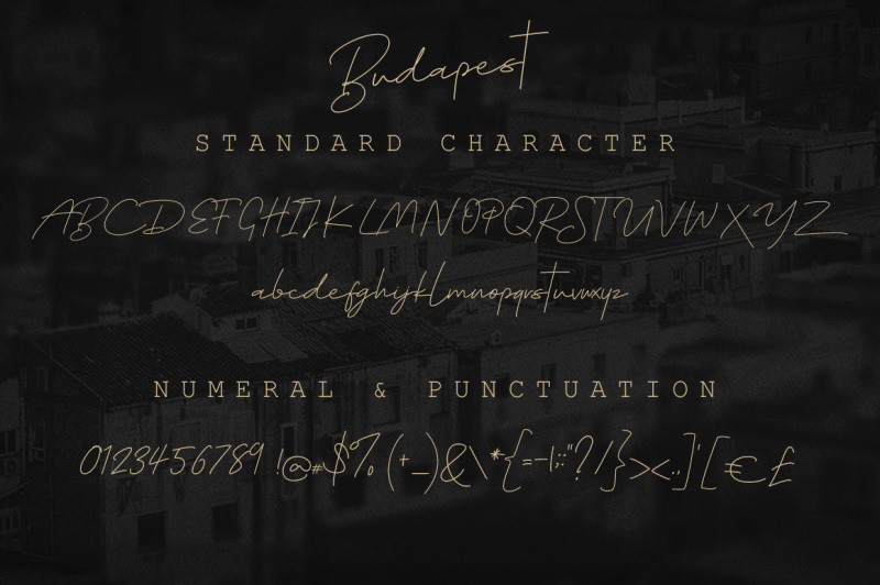 budapest-script-font-3-fonts