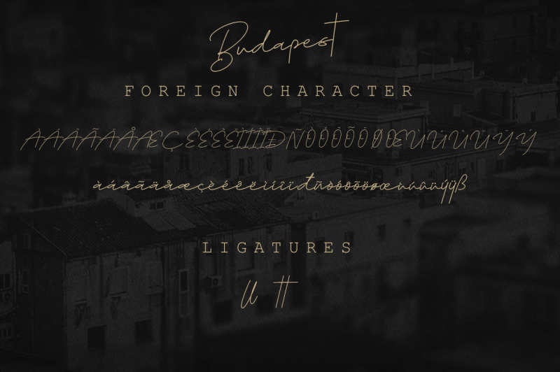 budapest-script-font-3-fonts