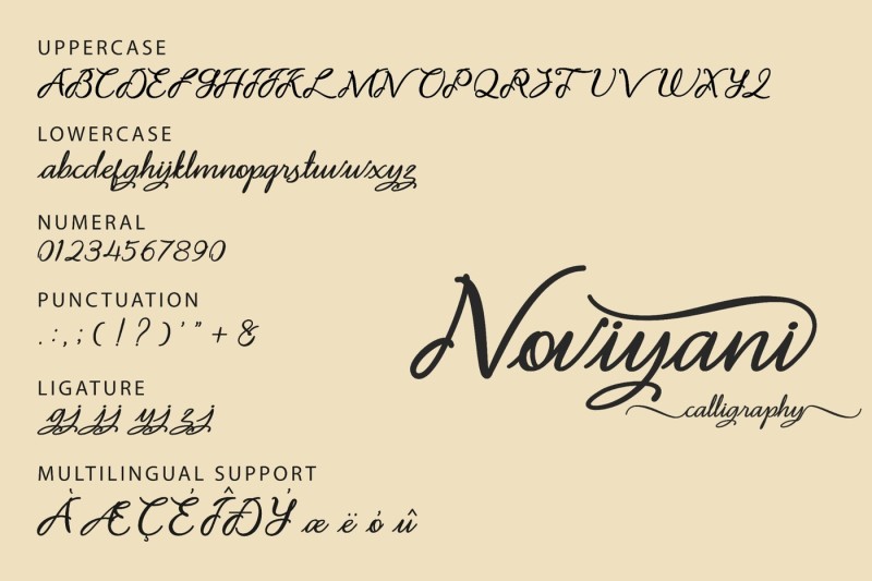 noviyani-script-font