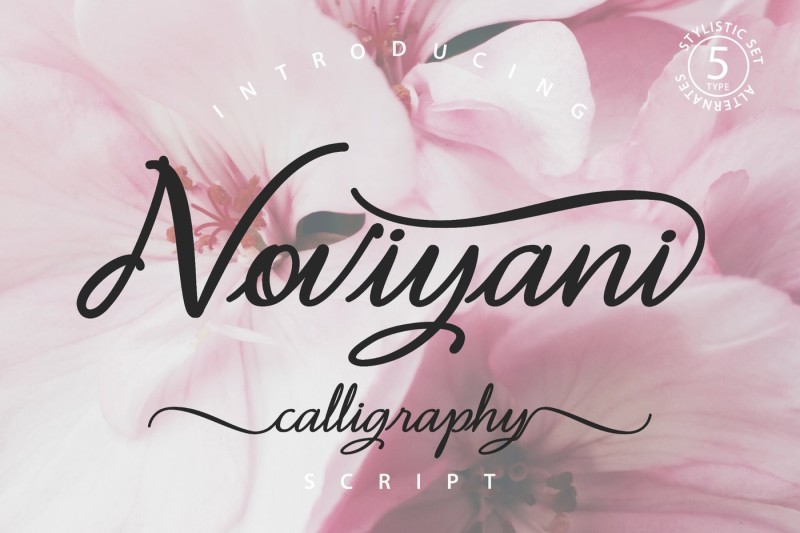noviyani-script-font