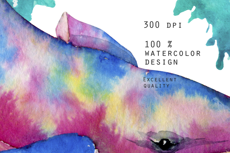 whales-watercolor-clip-art
