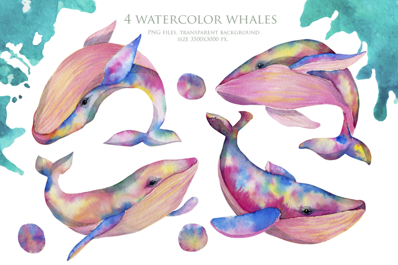 whales-watercolor-clip-art