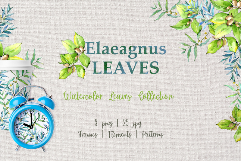 elaeagnus-leaves-watercolor-png