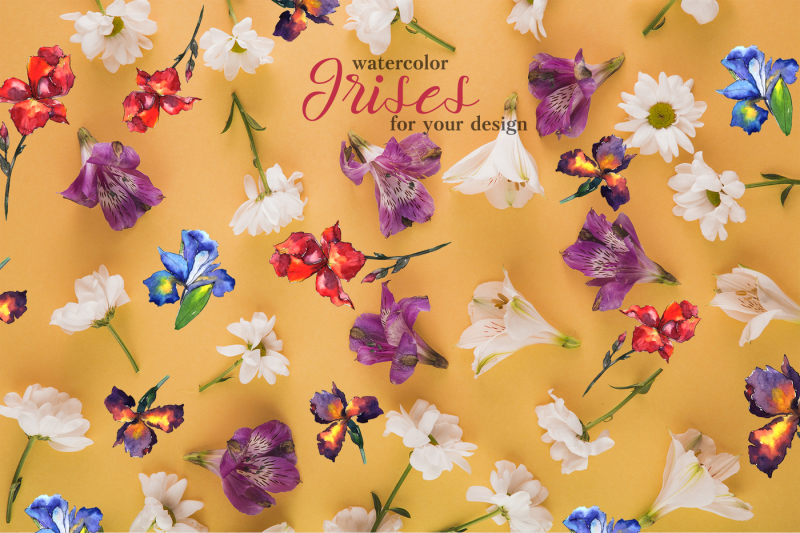 irises-watercolor-png