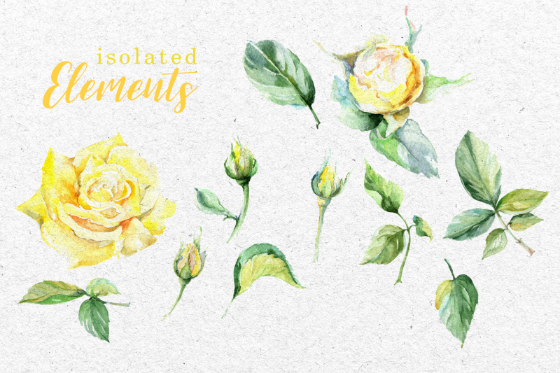 roses-bright-yellow-watercolor-png