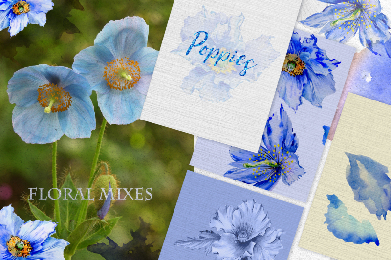blue-poppies-watercolor-png