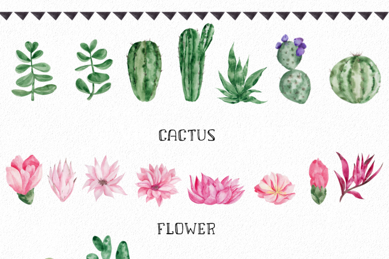 watercolor-cactus
