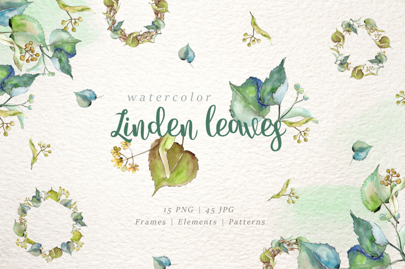 linden-leaves-watercolor-png