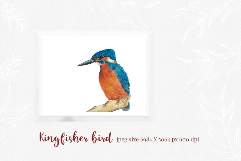 kingfisher-modern-calligraphy-font