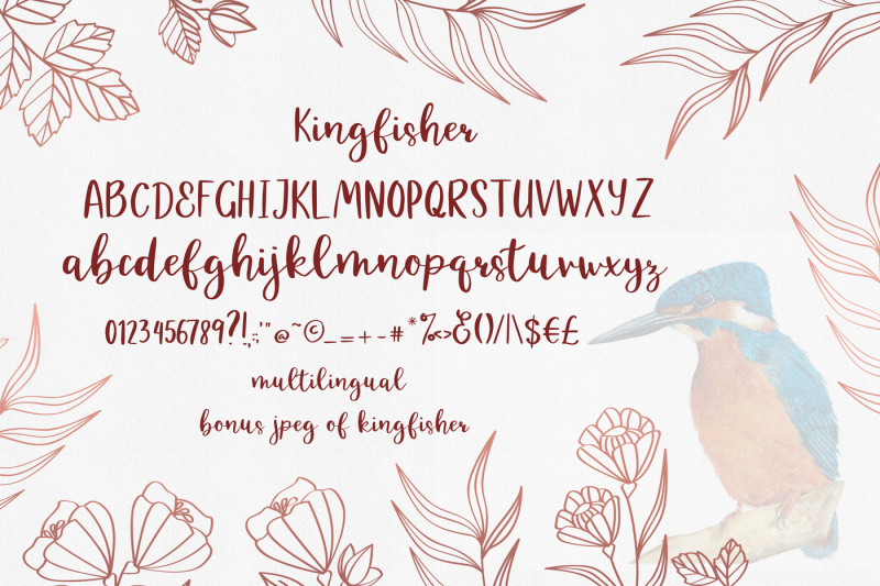kingfisher-modern-calligraphy-font