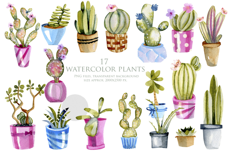 home-cacti-watercolor-clip-art