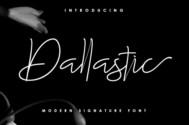 dallastic-script