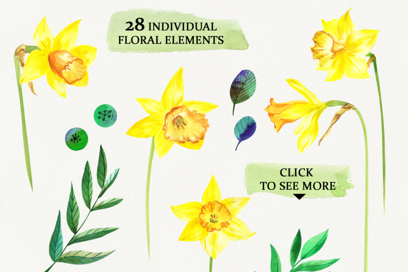 watercolor-sunny-daffodils