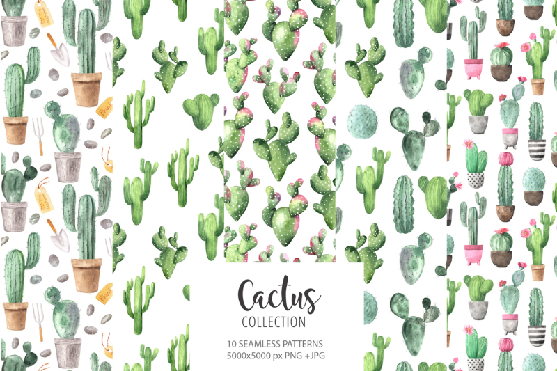 watercolor-exotic-cactus-collection