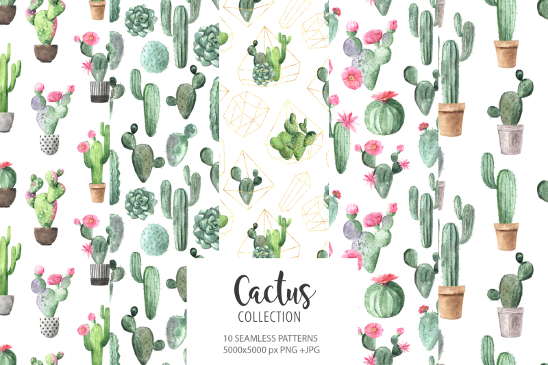 watercolor-exotic-cactus-collection
