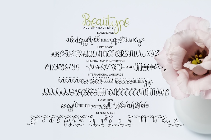 beautype-simple-script-font