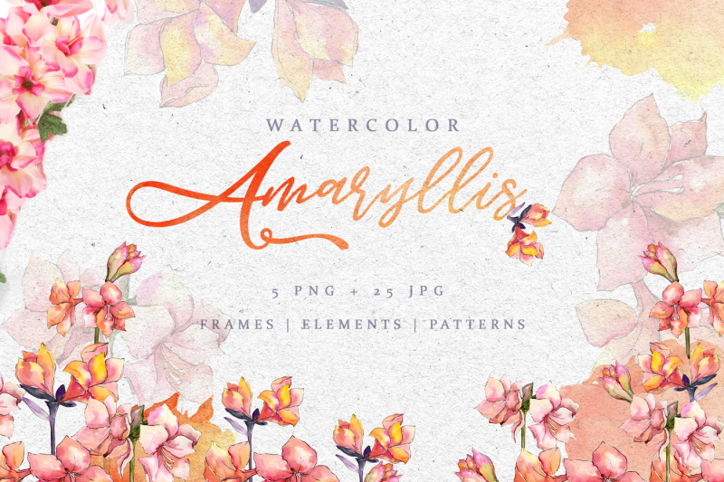 amaryllis-watercolor-pink-png