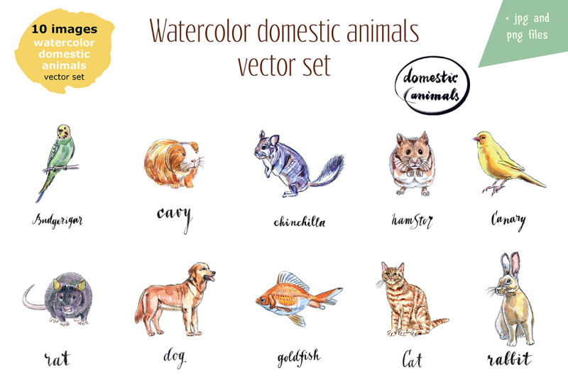 watercolor-vector-domestic-animals