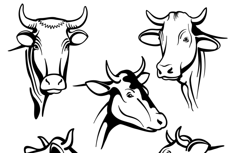 isolated-cow-head-vector-portraits-cattle-faces-for-farm-natural-dair