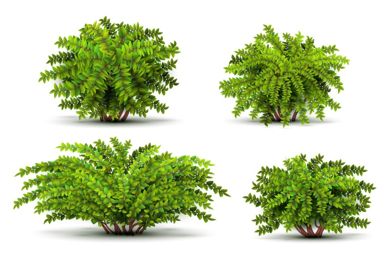 shrubbery-3d-isometric-bushes-isolated-on-white-vector-set