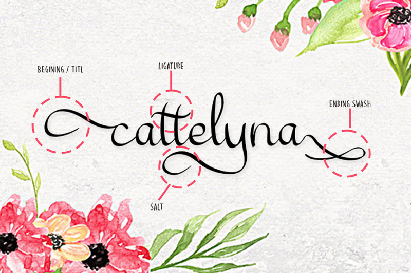cattelyna-modert-script