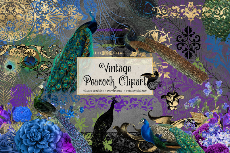 vintage-peacock-clipart