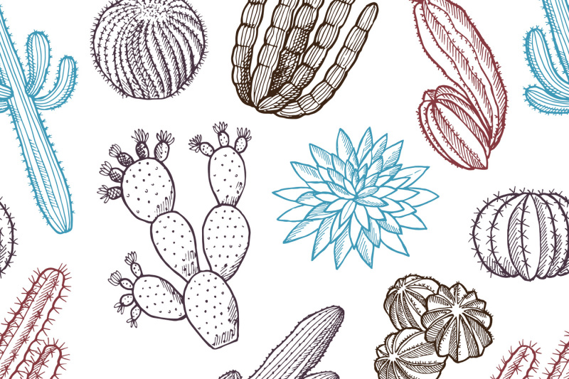 floral-seamless-pattern-illustrations-of-wild-cactuses