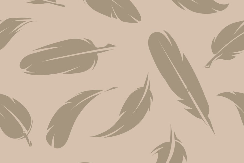 seamless-pattern-of-various-feathers-monochrome-pictures