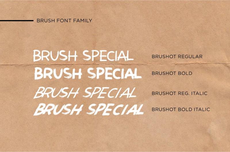 brushot-4-font-collection-swash
