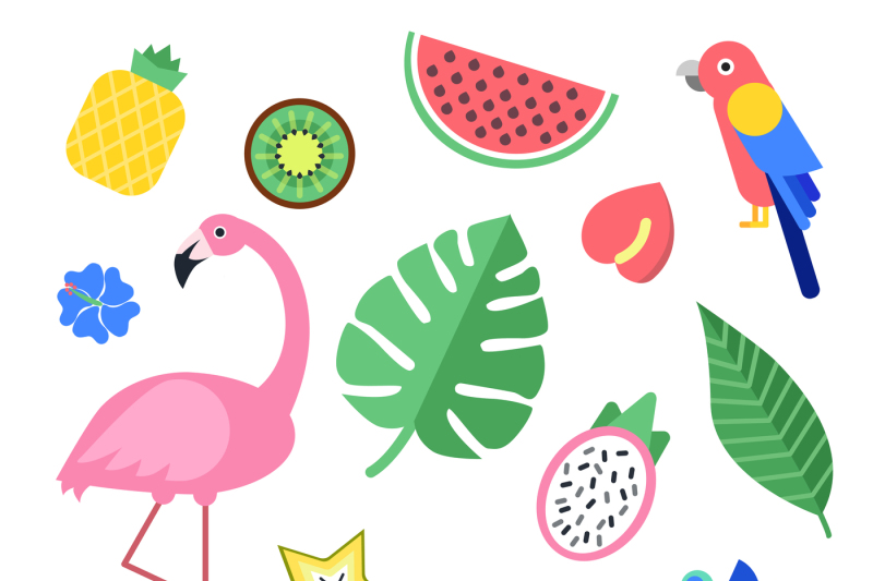 flowers-and-tropical-exotic-fruits-and-birds-vector-illustrations-iso