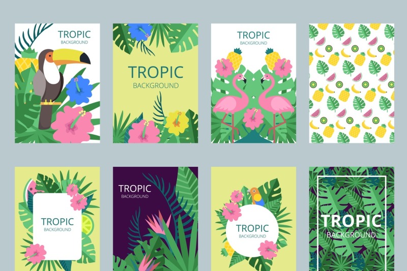 design-template-of-cards-with-illustrations-of-exotic-plants-fruits-a