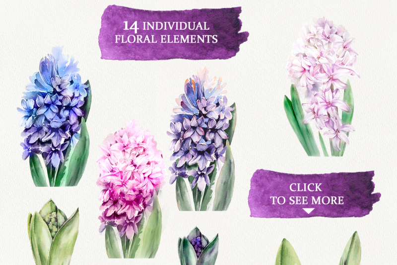 watercolor-romantic-hyacinths