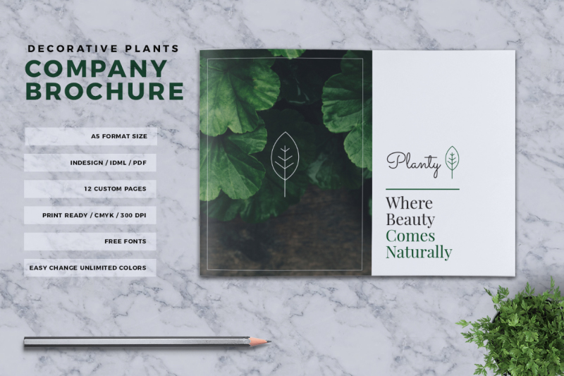 decorative-plants-brochure-a5
