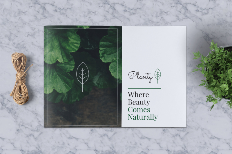 decorative-plants-brochure-a5