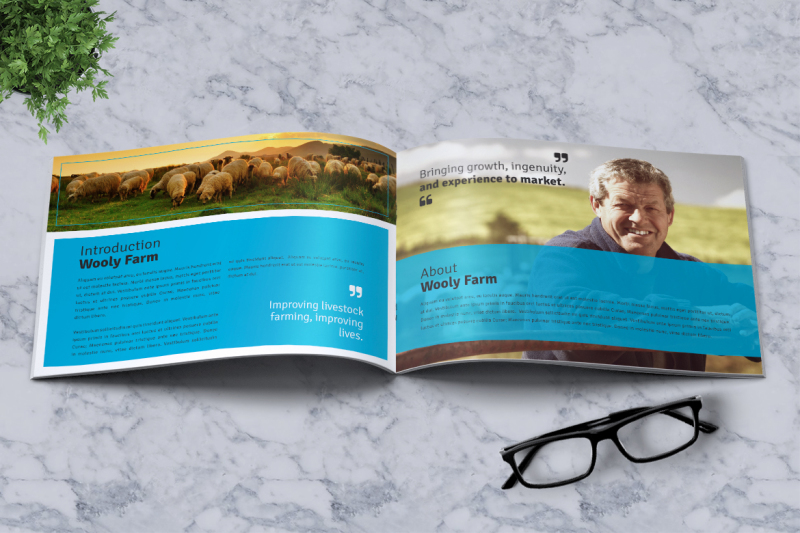 sheep-farm-brochure-a5