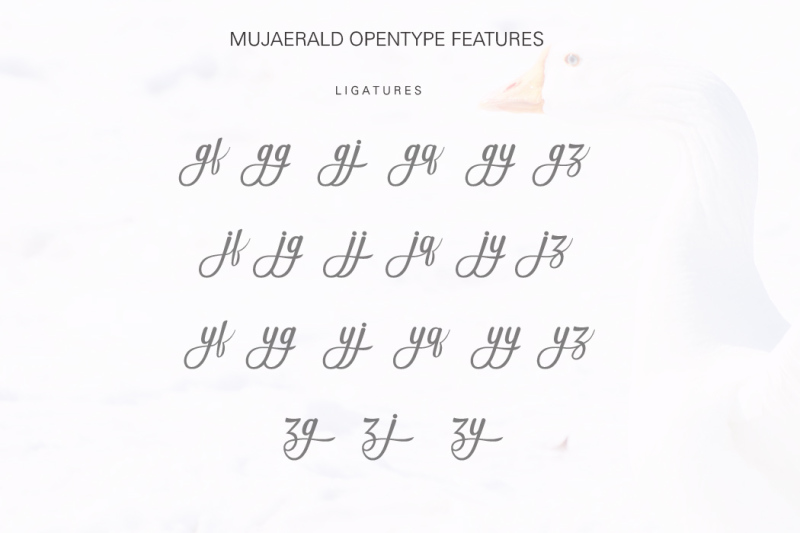 mujaerald-font