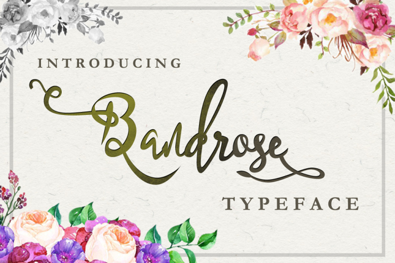 bandrose-typeface