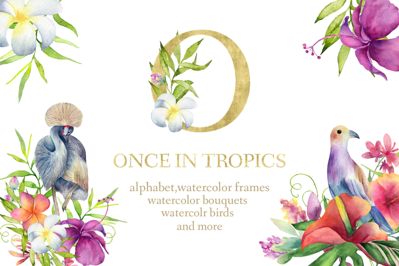once-in-tropics
