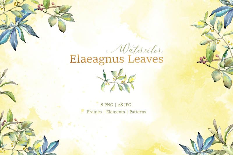 elaeagnus-leaves-watercolor-png