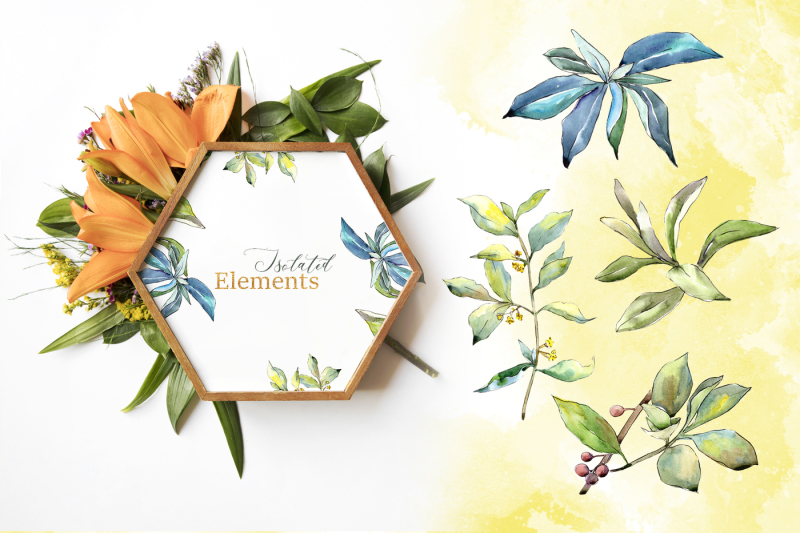 elaeagnus-leaves-watercolor-png