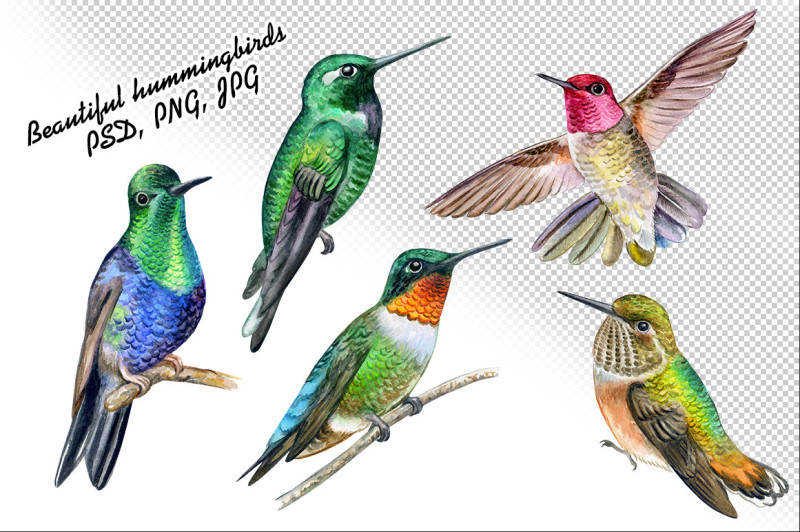 hummingbirds-and-flower-ornaments