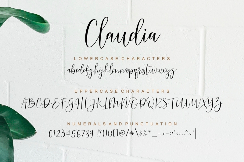 claudia-modern-script