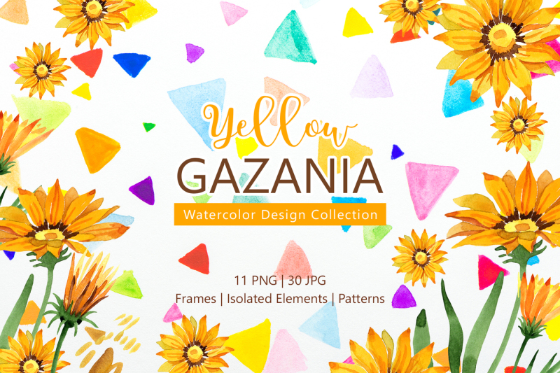 yellow-gazania-watercolor-png