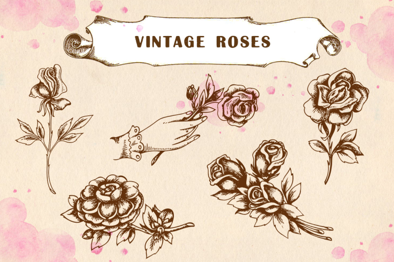 set-of-vintage-roses