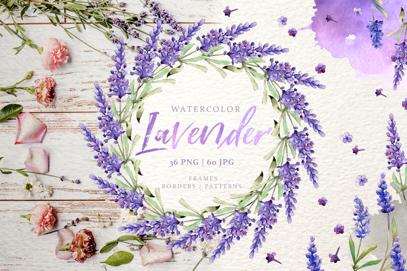 lavender-watercolor-png