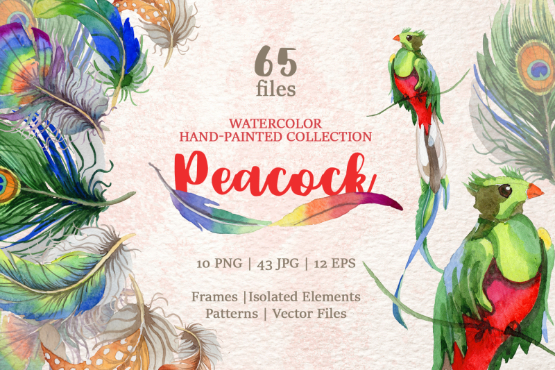 peacock-watercolor-png