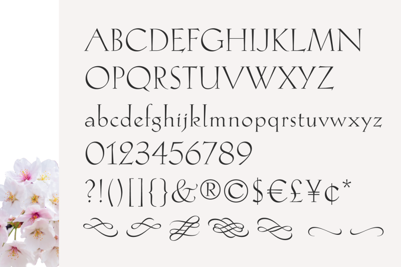 hellen-serif-font