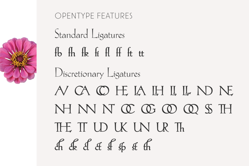 hellen-serif-font